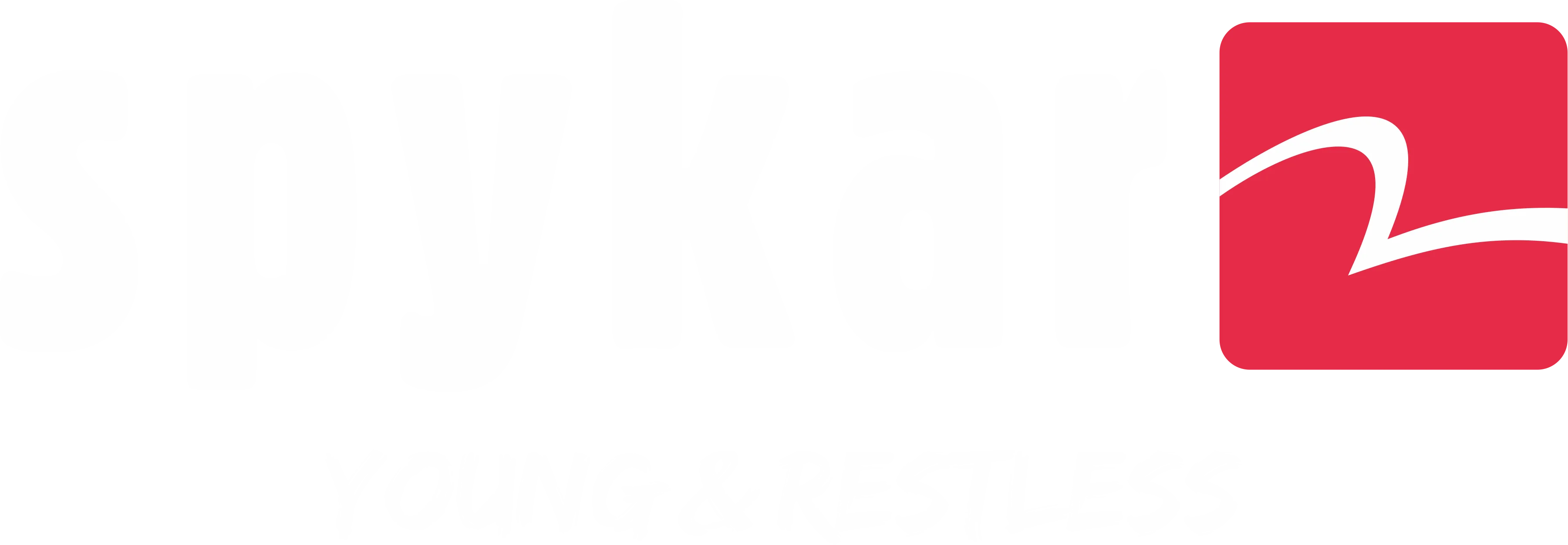 Spykar logo — client of Western India Marketing Co.